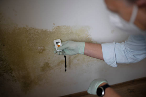 Best Mold Remediation Experts  in Simmesport, LA