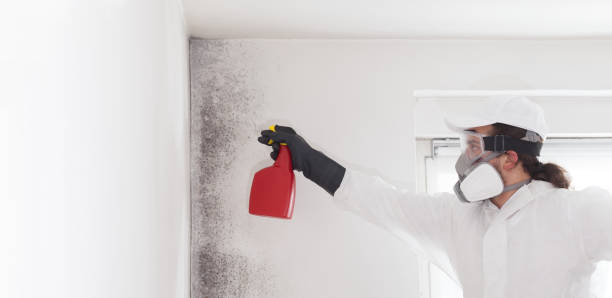 Best Professional Mold Removal  in Simmesport, LA