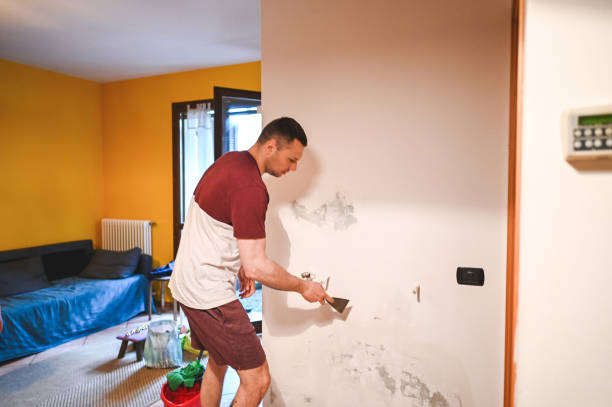 Best Home Mold Removal  in Simmesport, LA